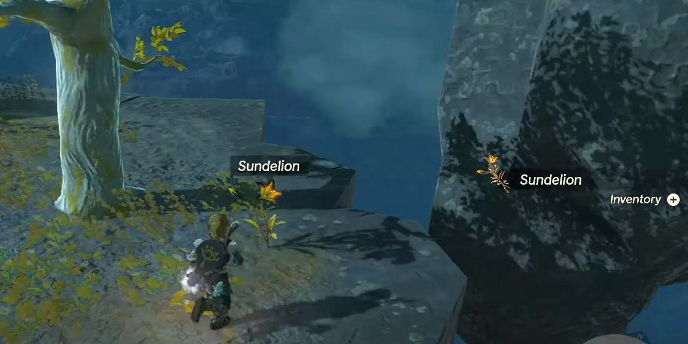 how-to-find-wild-greens-and-cure-gloom-in-zelda-totk-image-1